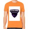 Unisex Jersey T-Shirt Thumbnail